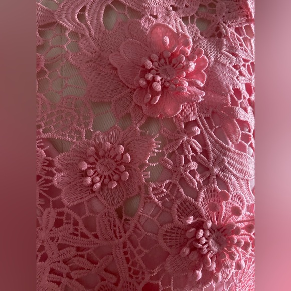 Leo Lin Eva Pink Floral Appliqued Lace Sleeveless Maxi Gown AU8/US4 NWT - Picture 9 of 13